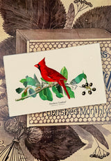 American Cardinal Decoupage Glass Tray