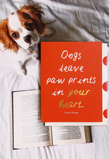 Min. Case Pack // Dogs Leave Paw Prints Greeting Card, Single Folded Card