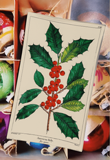 American Holly Glass Decoupage Tray