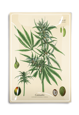 Herbal Cannabis Decoupage Glass Tray