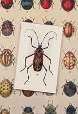 Geometric Red Tropical Bug Decoupage Glass Tray