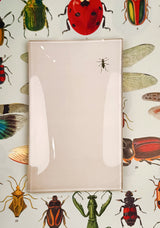 Curious Critter Decoupage Glass Tray