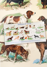 Dog Run, Breeds of Dogs Glass Decoupage Tray