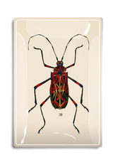 Geometric Red Tropical Bug Decoupage Glass Tray