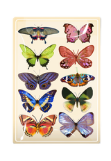 Wildflower Butterflies Decoupage Glass Tray