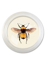 Golden Bumblebee 4" Round Glass Coaster