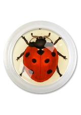 Red English Ladybug 4" Round Glass Coaster
