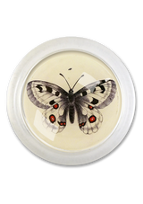 Woodland Butterfly 4" Round Glass Coaster