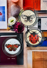 European Peacock Red Butterfly 4" Round Glass Coaster