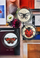 Red English Ladybug 4" Round Glass Coaster