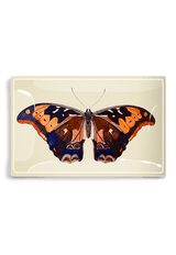 Barbados Butterfly Decoupage Glass Tray - Wholesale Ben's Garden