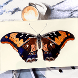 Barbados Butterfly Decoupage Glass Tray - Wholesale Ben's Garden