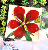 Crimson Hibiscus Flower Decoupage Glass Tray - Wholesale Ben's Garden