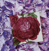 Bensgarden.com | Dark Purple David Austin Rose Decoupage Glass Tray - Bensgarden.com