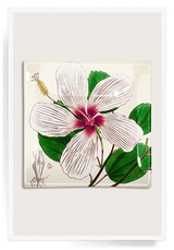 Bensgarden.com | Hibiscus Genevii Decoupage Glass Tray - Bensgarden.com