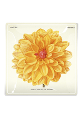 Bensgarden.com | Orange King Dahlia Blossom Tray - Bensgarden.com