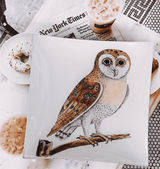 Bensgarden.com | Owl Hoot Decoupage Glass Tray - Bensgarden.com