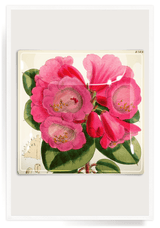 Bensgarden.com | Pink Flower Decoupage Glass Tray - Bensgarden.com