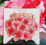 Pink Hydrangea Decoupage Glass Tray - Wholesale Ben's Garden
