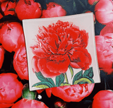 Pink Peony Decoupage Glass Tray - Wholesale Ben's Garden