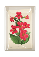 Pinks Botanical Decoupage Glass Tray - Wholesale Ben's Garden