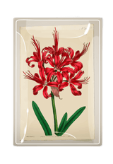 Scarlett Lily Botanical Decoupage Glass Tray - Wholesale Ben's Garden