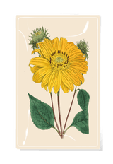 Sunflower No.4 Decoupage Glass Tray - Wholesale Ben's Garden