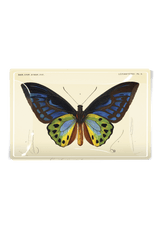 Tropical Butterfly No. 6 Decoupage Glass Tray - Wholesale Ben's Garden