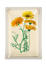Yellow Daisies Decoupage Glass Tray - Wholesale Ben's Garden