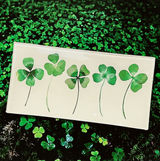 Five Lucky Clovers Decoupage Glass Tray