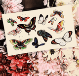12 Fluttering Butterflies Decoupage Glass Tray - Wholesale Ben's Garden 
