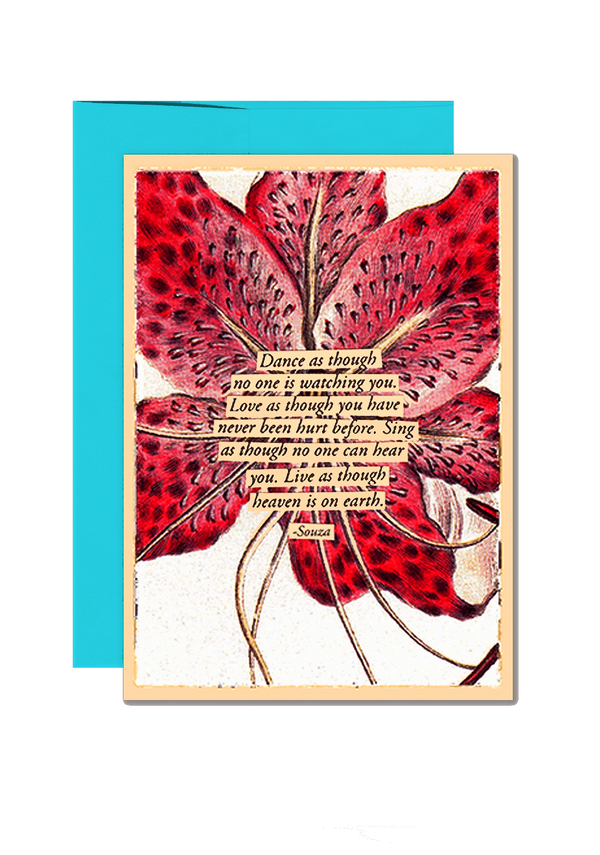 Min. Case Pack of 6 // Dance As Though Stargazer Lily Folded Note Card