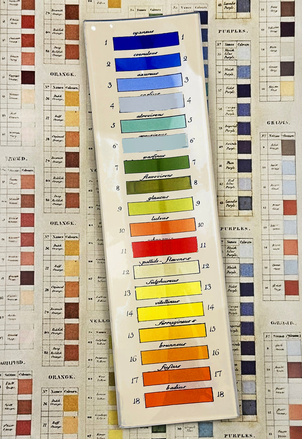 18-Paint Palette Coral to Blue Decoupage Glass Tray