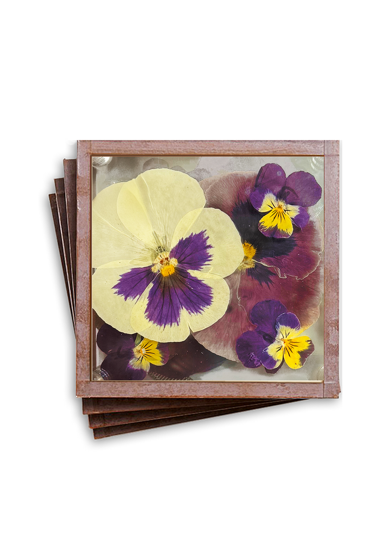 Min. Case Pack of 2 // Pressed Flower Pansy Copper & Glass Coasters, Set/ 4
