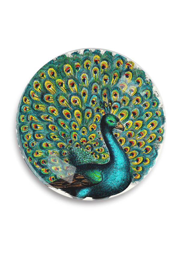 Proud Peacock Round Decoupage Tray