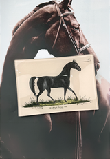 Midnight Sovereign Horse Decoupage Glass Tray