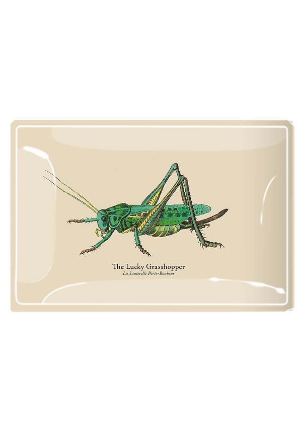 Very Green Lucky Grasshopper Decoupage Glass Tray