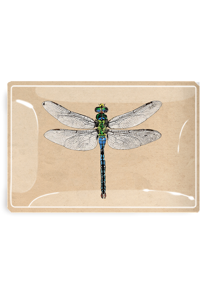 Emerald Green Crystal Dragonfly Decoupage Glass Tray
