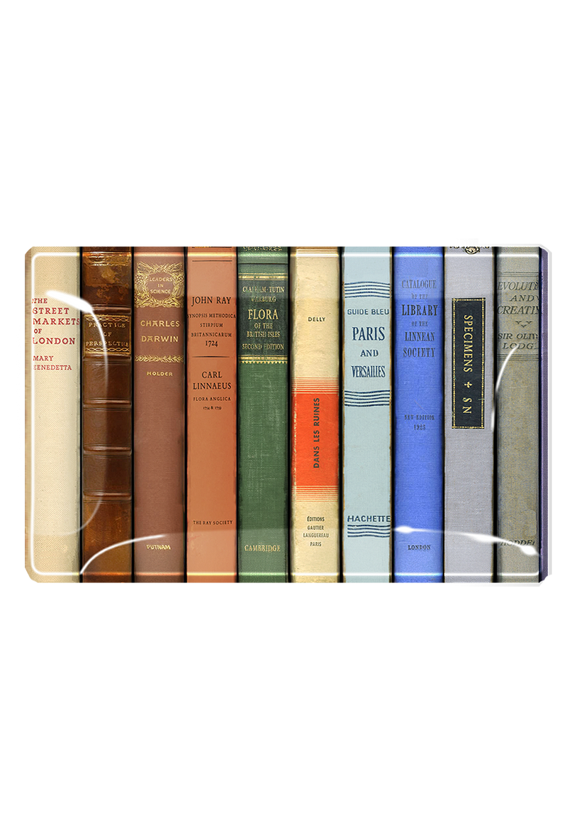 New York Public Library Reserve Decoupage Glass Tray