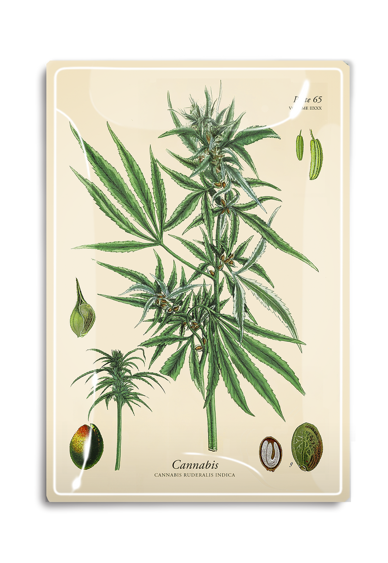 Herbal Cannabis Decoupage Glass Tray