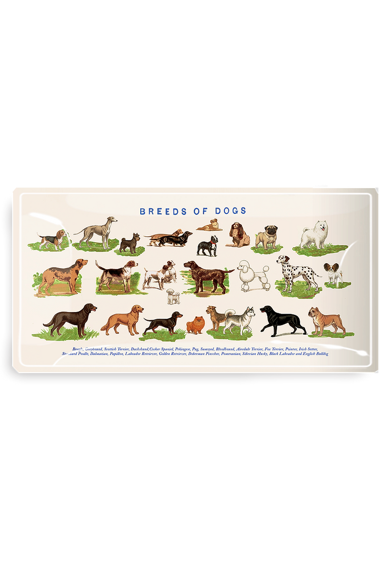 Dog Run, Breeds of Dogs Glass Decoupage Tray