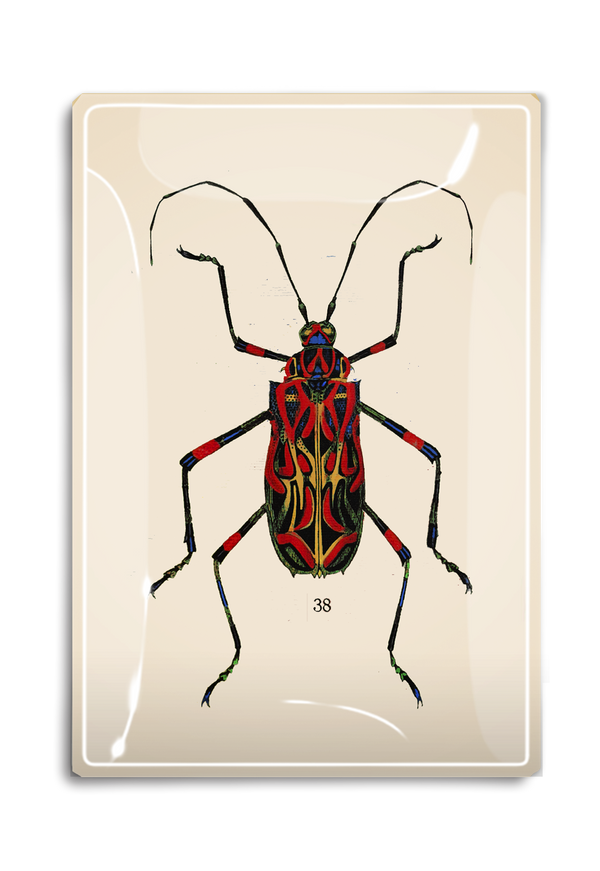 Geometric Red Tropical Bug Decoupage Glass Tray