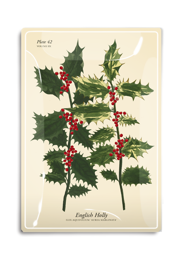 English Holly Stems Decoupage Glass Tray