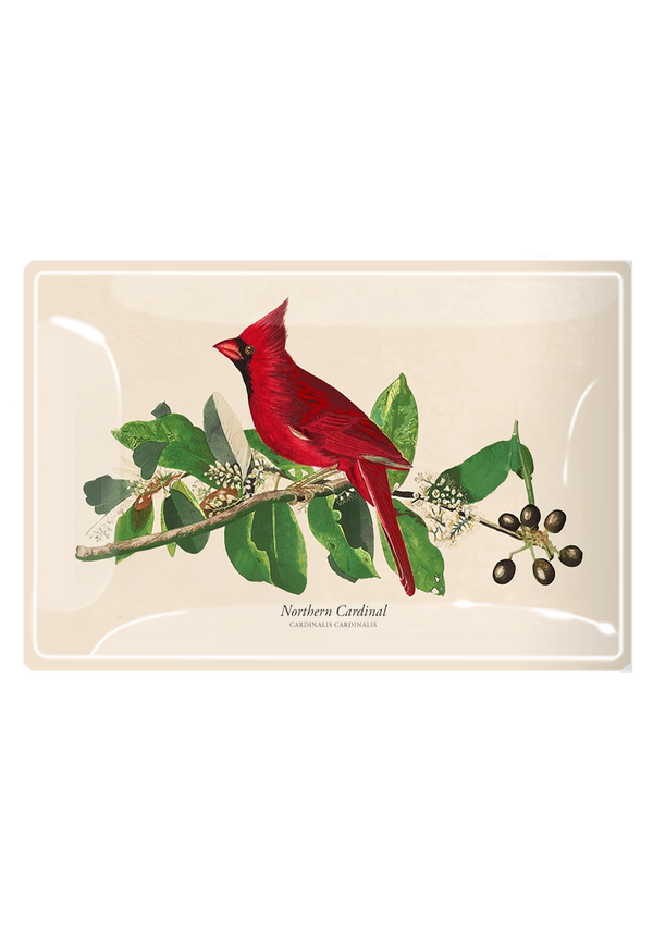 American Cardinal Decoupage Glass Tray