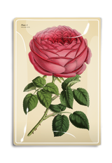 Constance Climbing Pink Rose Decoupage Glass Tray