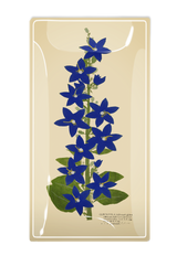 Blue Star Flower Glass Decoupage Tray