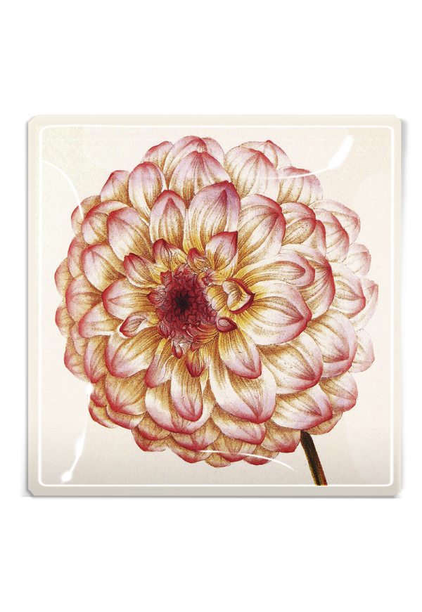 Pink Dahlia Decoupage Glass Tray