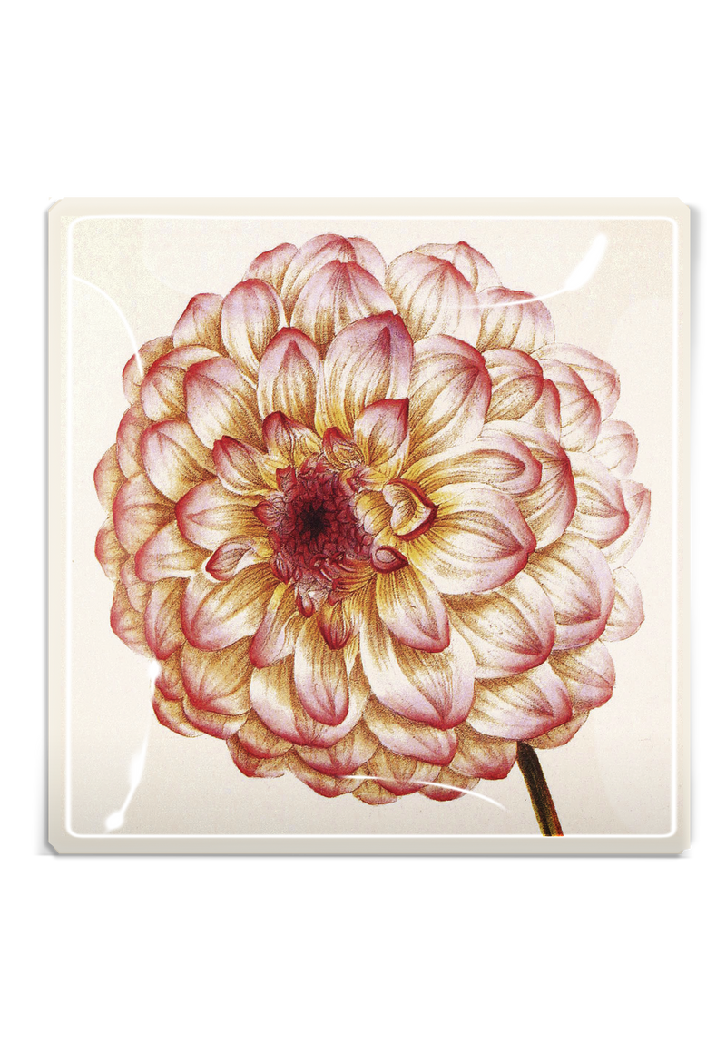 Pink Dahlia Decoupage Glass Tray