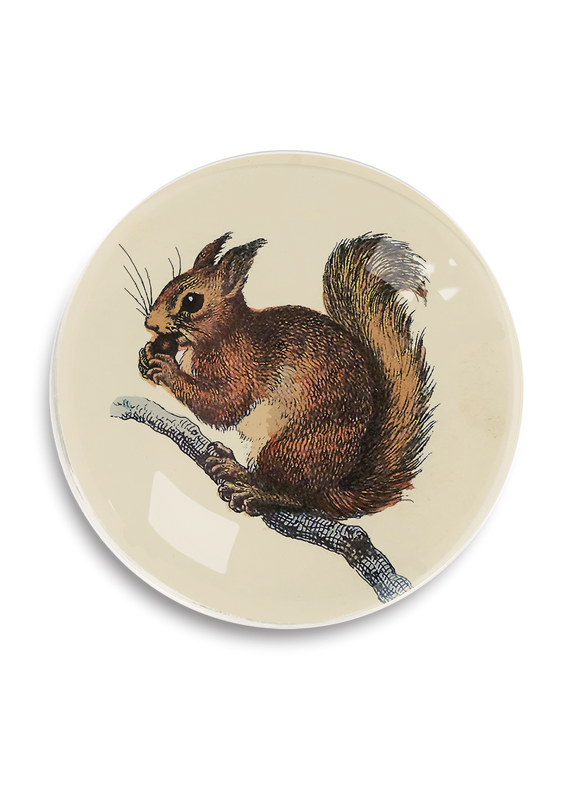 Squirrel Round Decoupage Tray