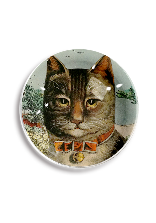The Clever Cat Paperweight Crystal Dome Paperweight